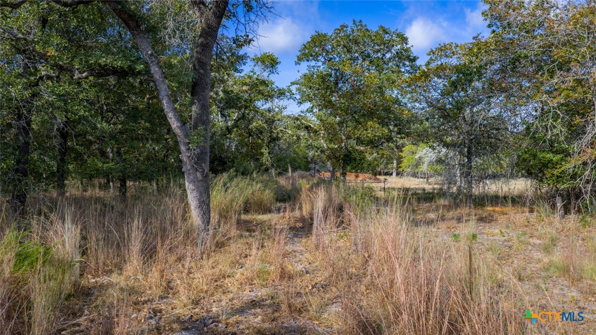 Tract 14 Sandstone Ln Property Photo 7