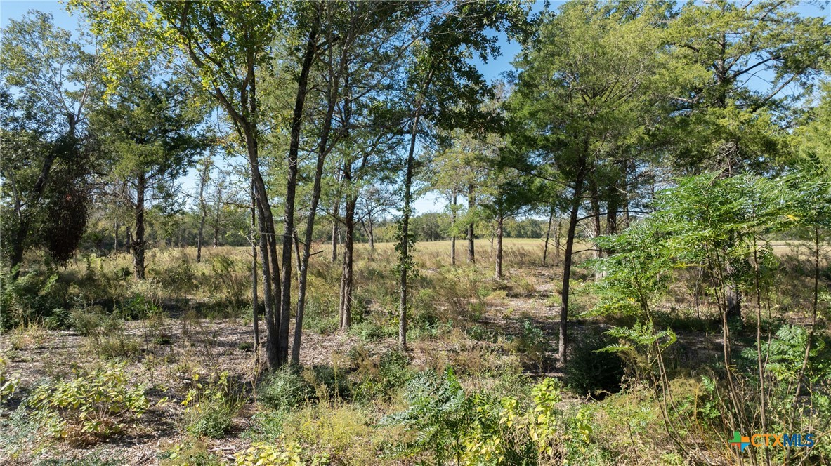 204 Little Branch Lane Property Photo 19