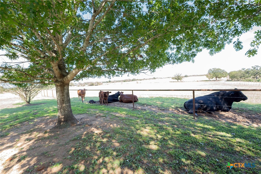 2542 Witter Road Property Photo 11