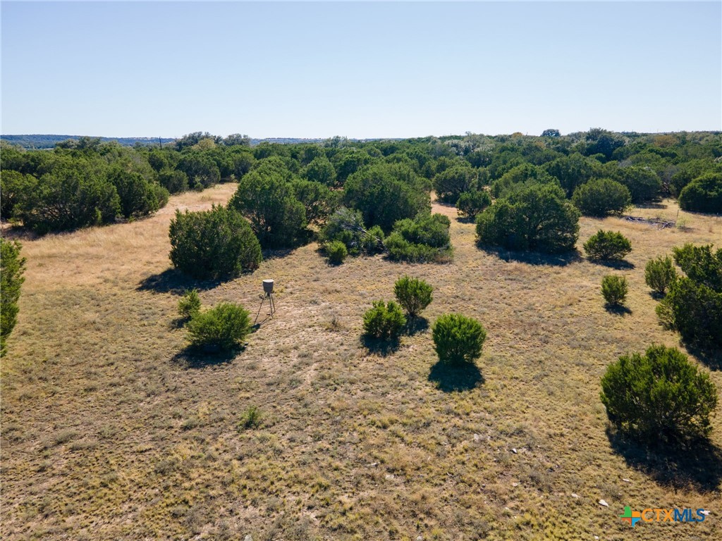 Tbd County Road 160 Property Photo 12