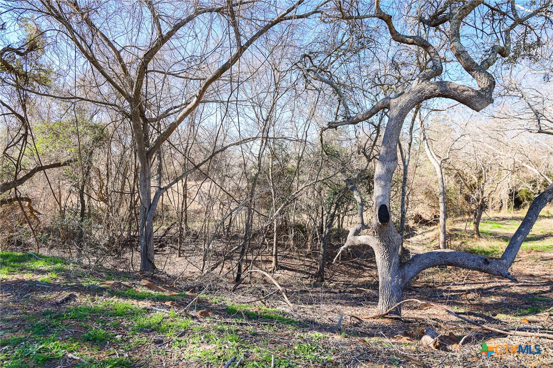 511 Cr 362 Lot 3 Property Photo 3