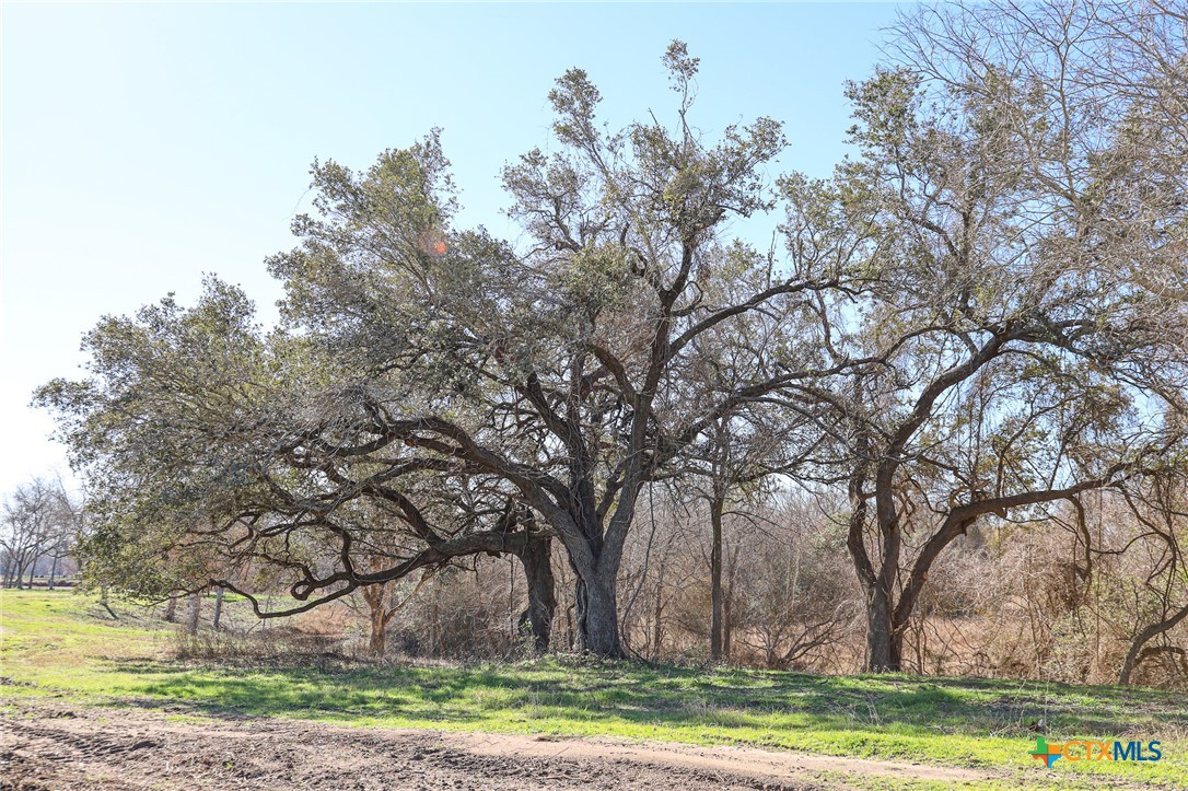 511 Cr 362 Lot 3 Property Photo 4