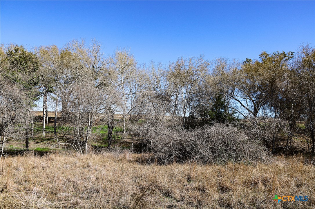 511 Cr 362 Lot 3 Property Photo 10