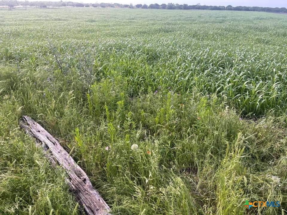 Tbd Private Road 3642 Property Photo 2