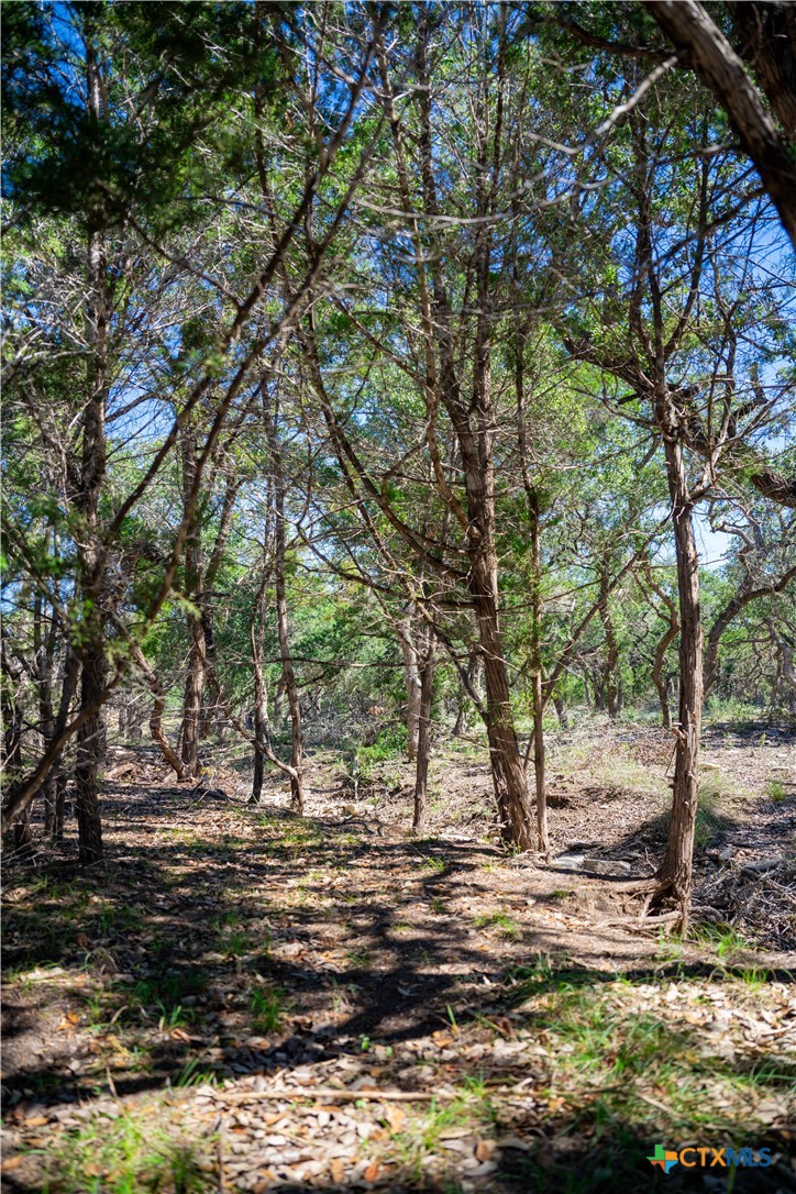 34720 Ansley Ridge Trail Property Photo 7