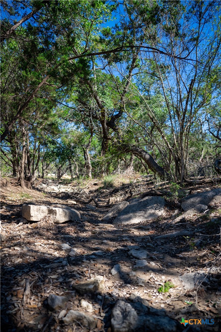 34720 Ansley Ridge Trail Property Photo 8