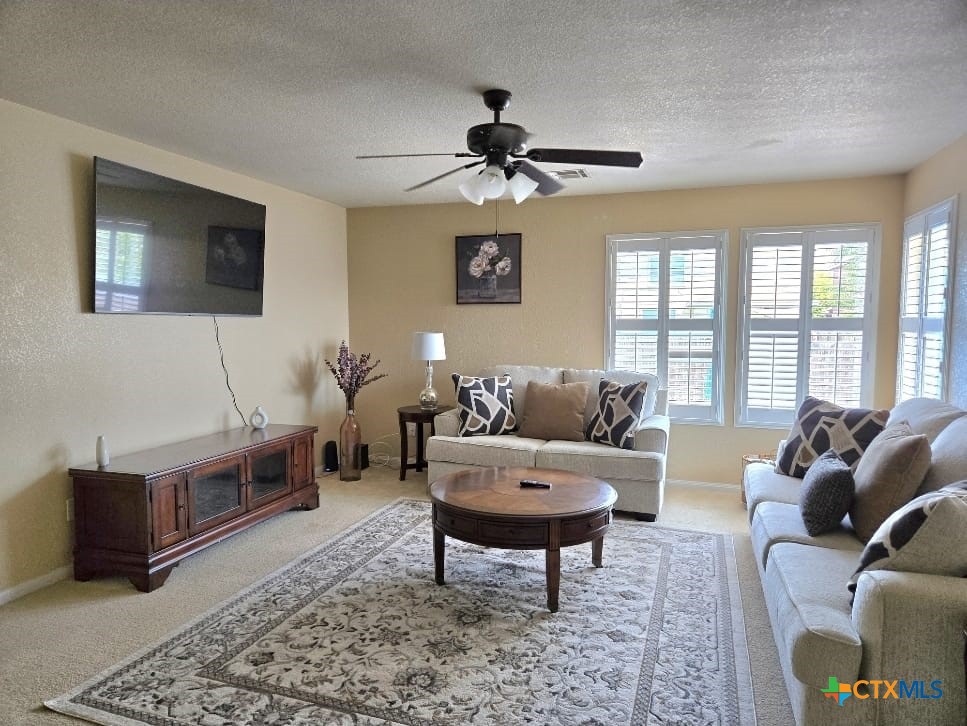 3403 Thunder Creek Drive Property Photo 2