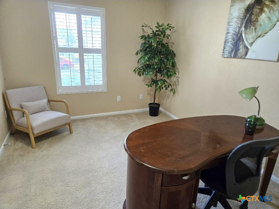 3403 Thunder Creek Drive Property Photo 3