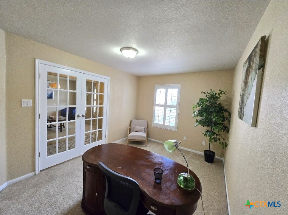 3403 Thunder Creek Drive Property Photo 4