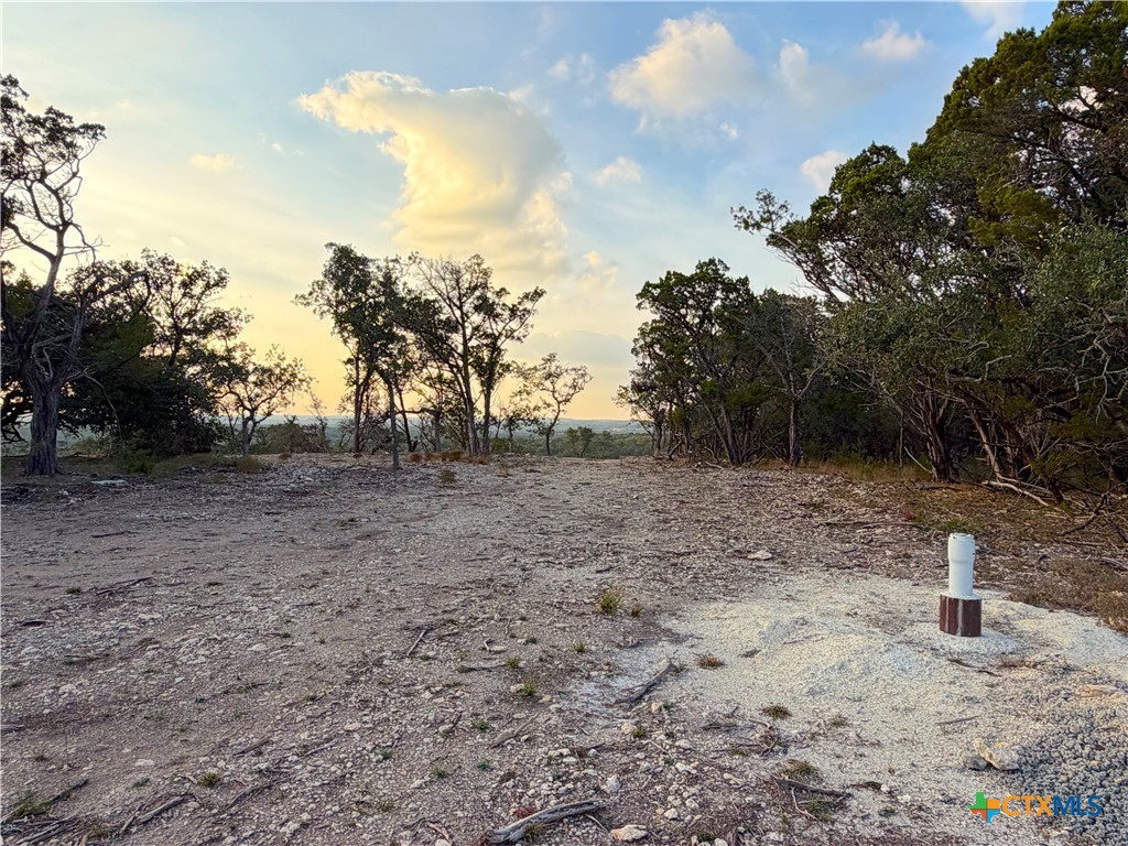 100 Acres N Cranes Mill Rd. Property Photo 6