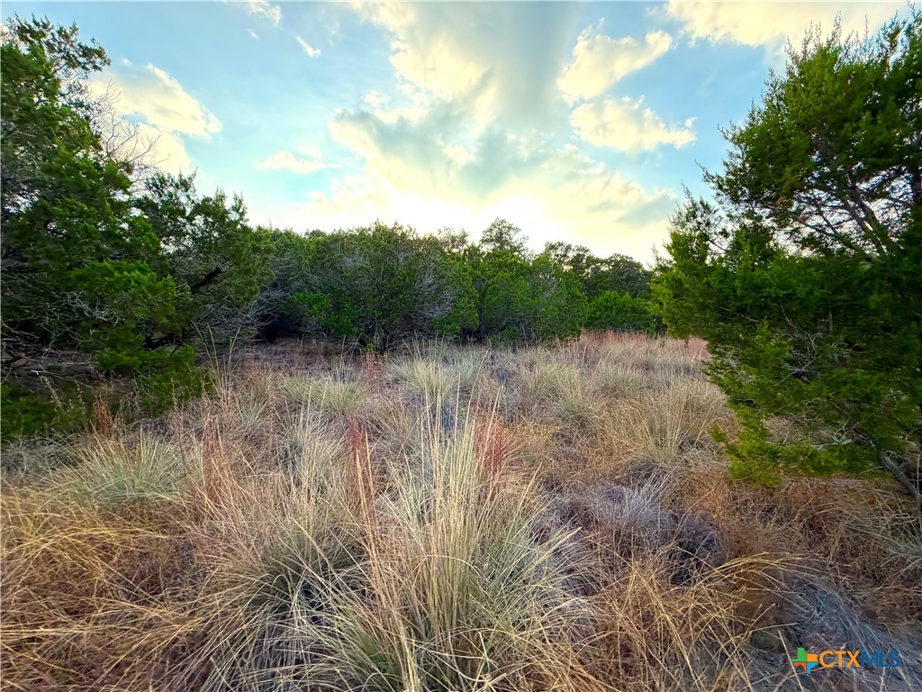100 Acres N Cranes Mill Rd. Property Photo 14