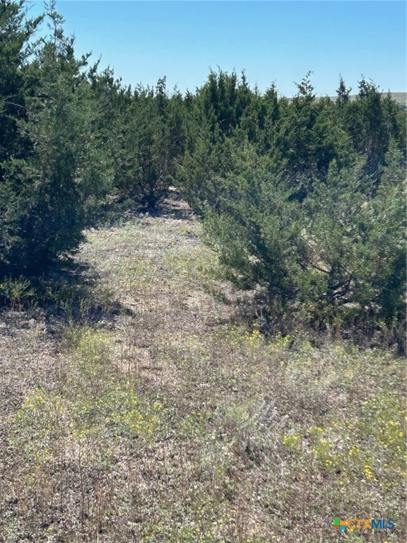 101 Cedar Hill Drive Property Photo 1