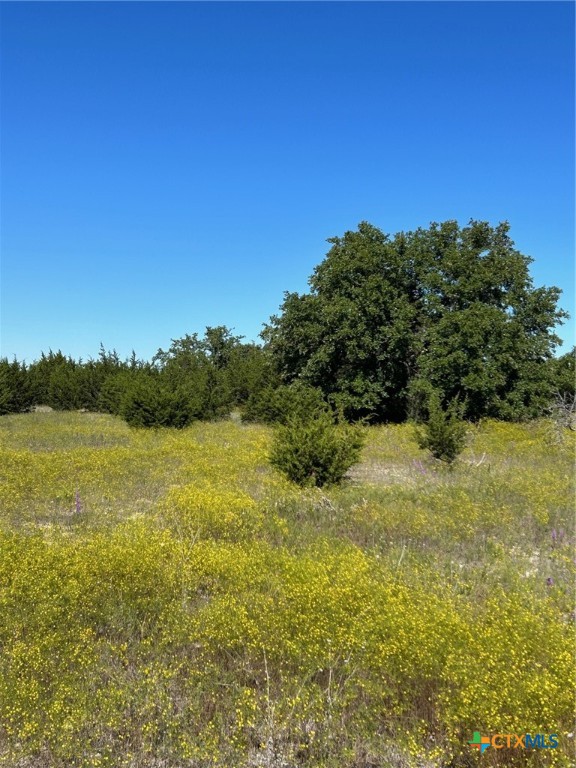 102 Cedar Bluff Loop Property Photo 1