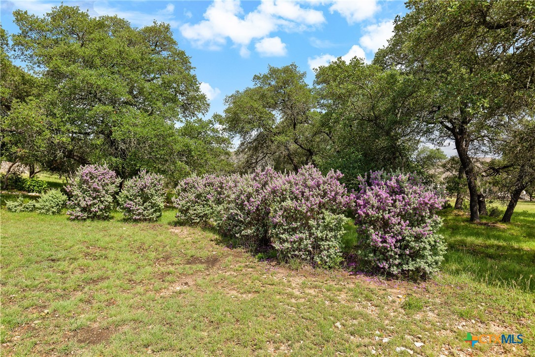 204 Kendall Jackson Property Photo 17