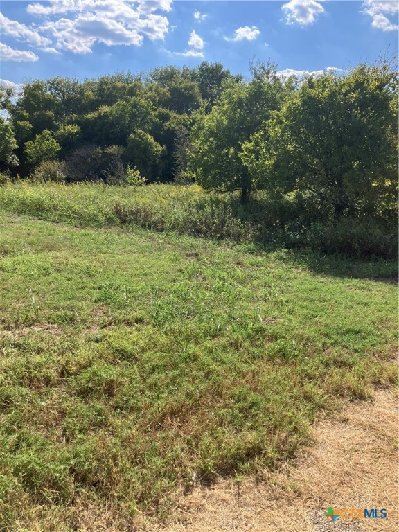 3202 S Central Avenue Property Photo 2