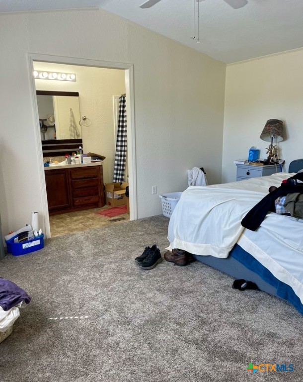 5529 N. Fm 487 Property Photo 20