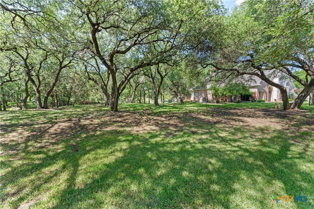 300 Salado Creek Place Property Photo 3