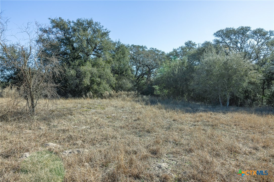 000 Lakeside Trail Blk 2 Lot 19 Property Photo 3