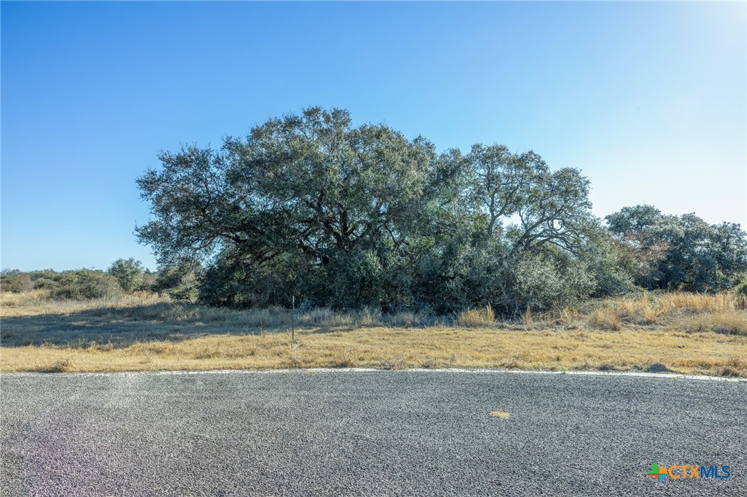 000 Briarhill Road Blk 3 Lot 4 Property Photo 6