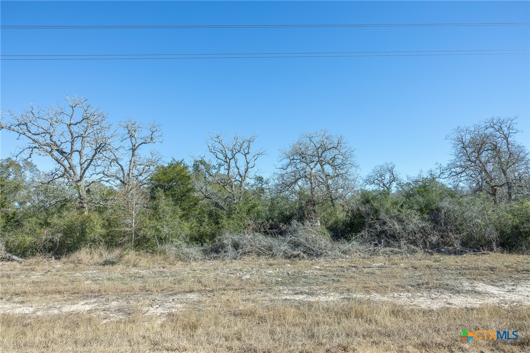 000 Garcitas Creek Ranch Road Blk 4 Lot 13 Property Photo 5