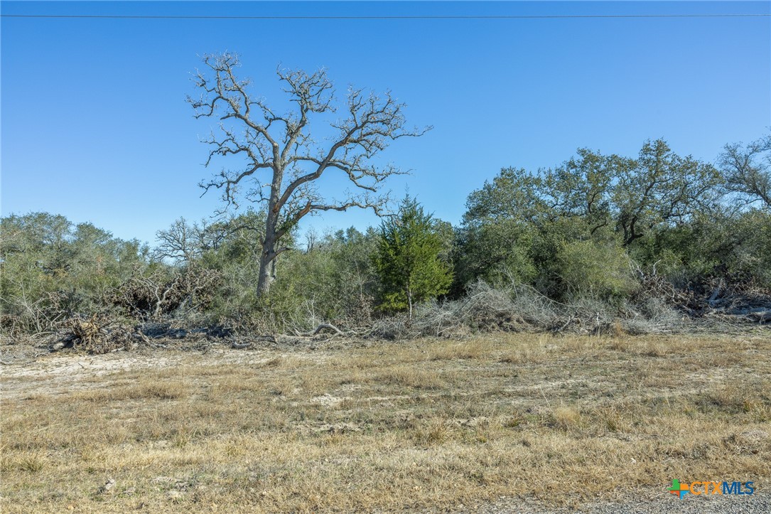 000 Garcitas Creek Ranch Road Blk 4 Lot 10 Property Photo 6