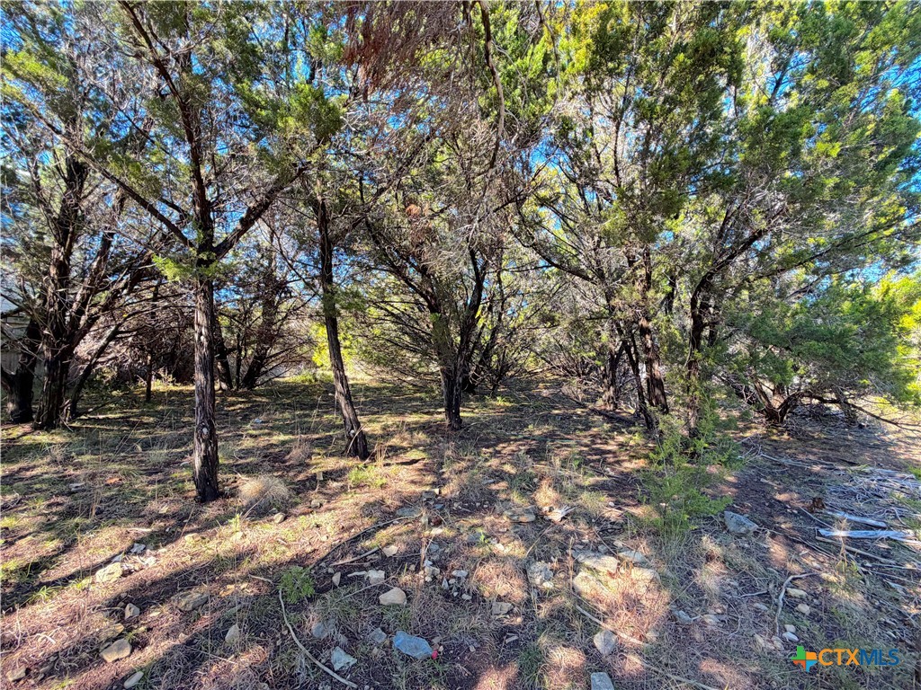 545-561 Lake Park Loop Property Photo 12