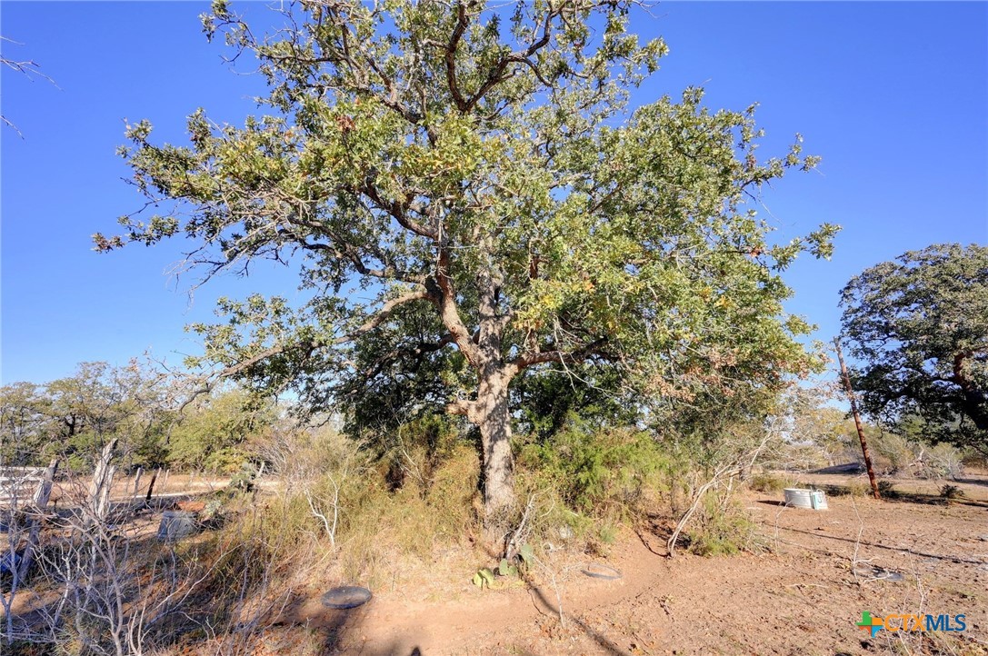000 Cr 405 Property Photo 7