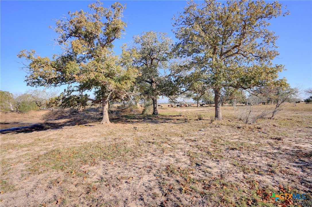 000 Cr 405 Property Photo 12