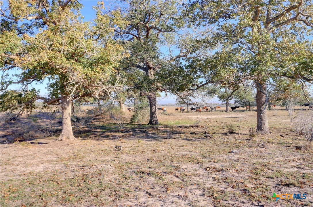 000 Cr 405 Property Photo 13