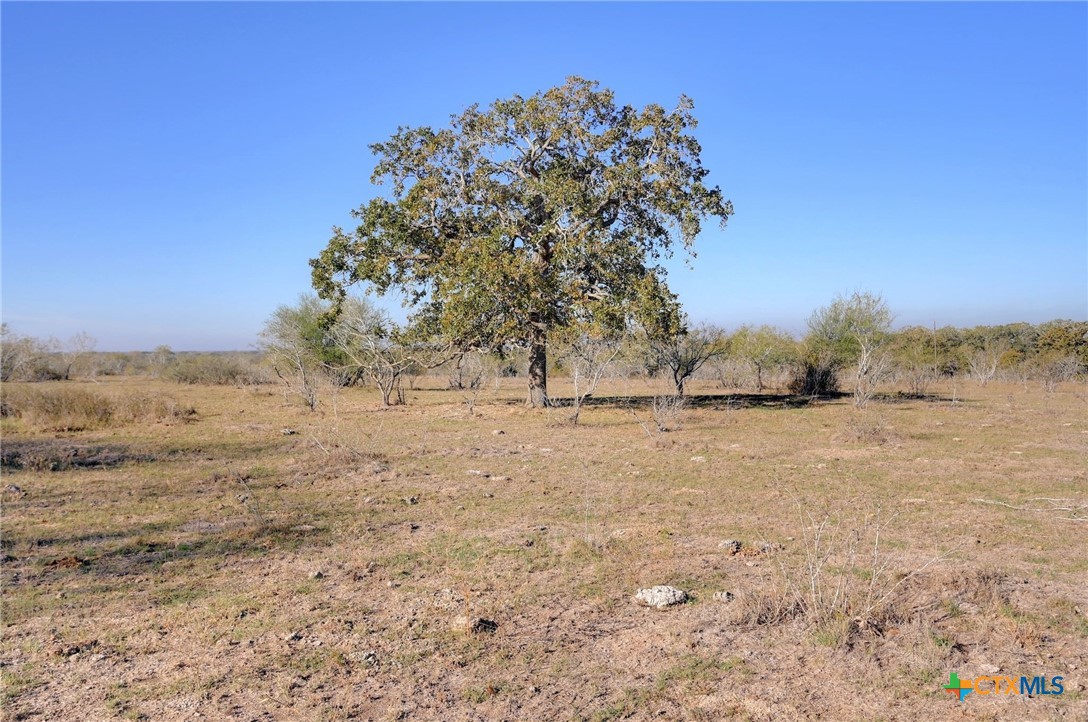 000 Cr 405 Property Photo 21