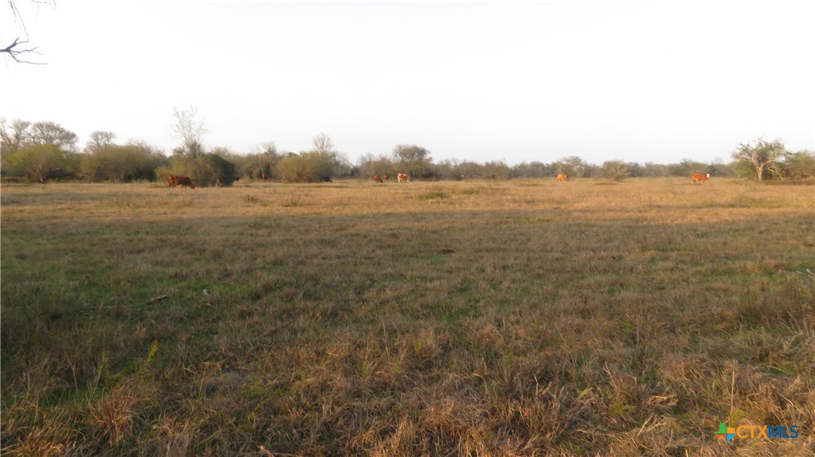 0 Co Rd 115, 59 Bypass Feeder Property Photo 16