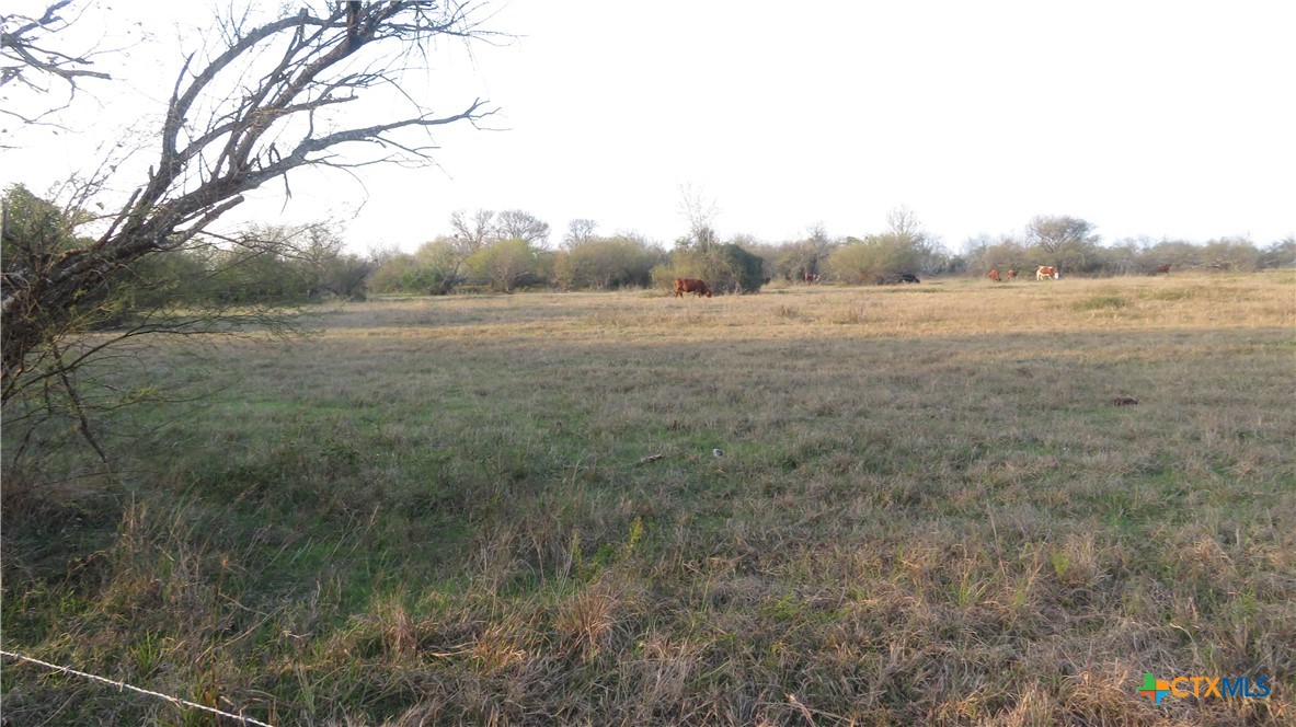 0 Co Rd 115, 59 Bypass Feeder Property Photo 17