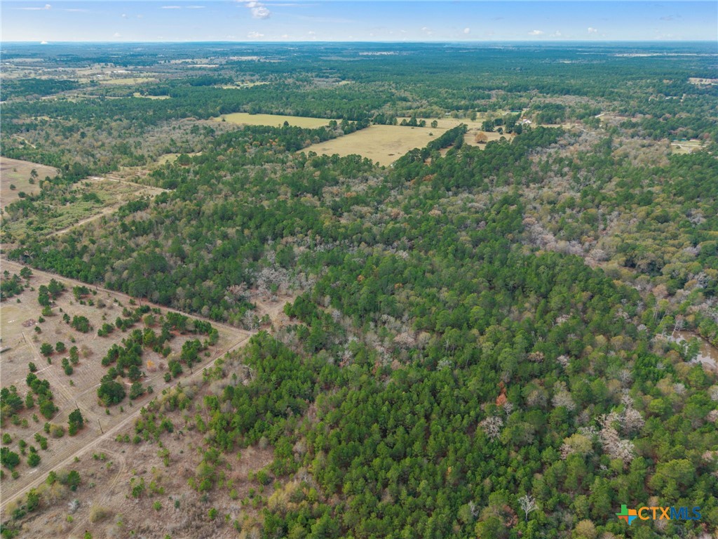 000 Dickey Loop Property Photo 3