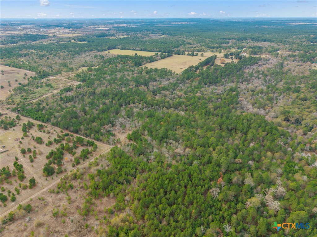 000 Dickey Loop Property Photo 4