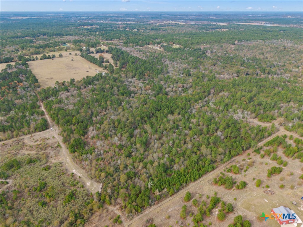 000 Dickey Loop Property Photo 5