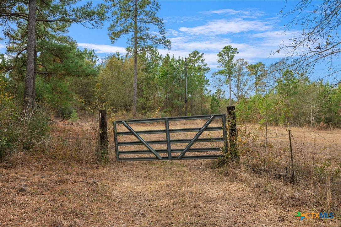 000 Dickey Loop Property Photo 14