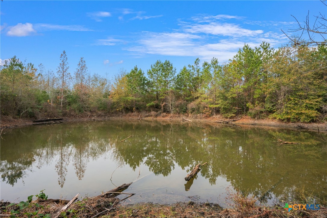 000 Dickey Loop Property Photo 15