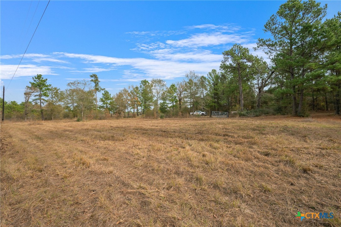 000 Dickey Loop Property Photo 17