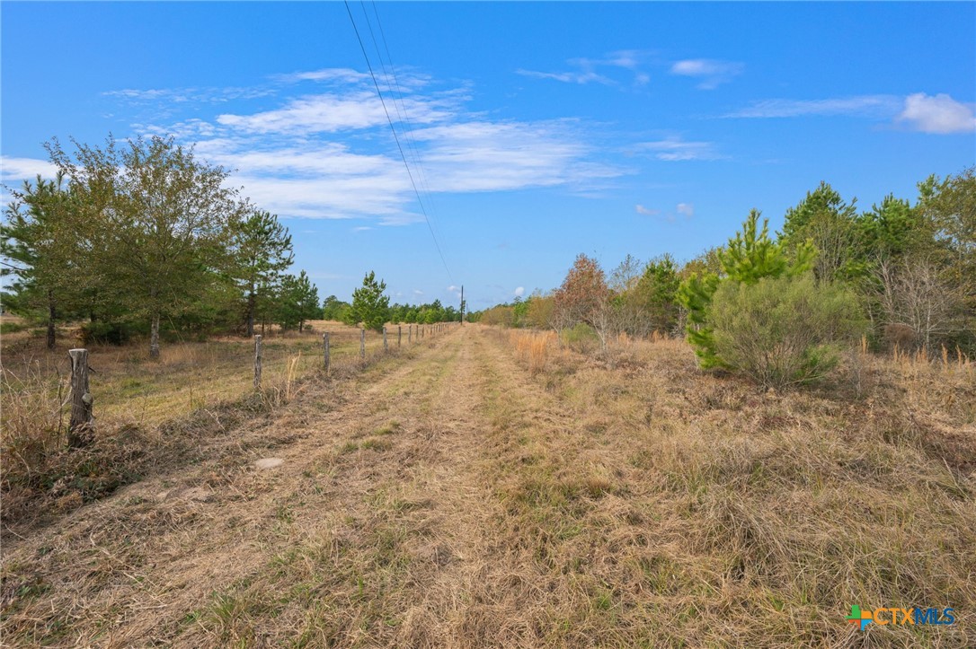 000 Dickey Loop Property Photo 18