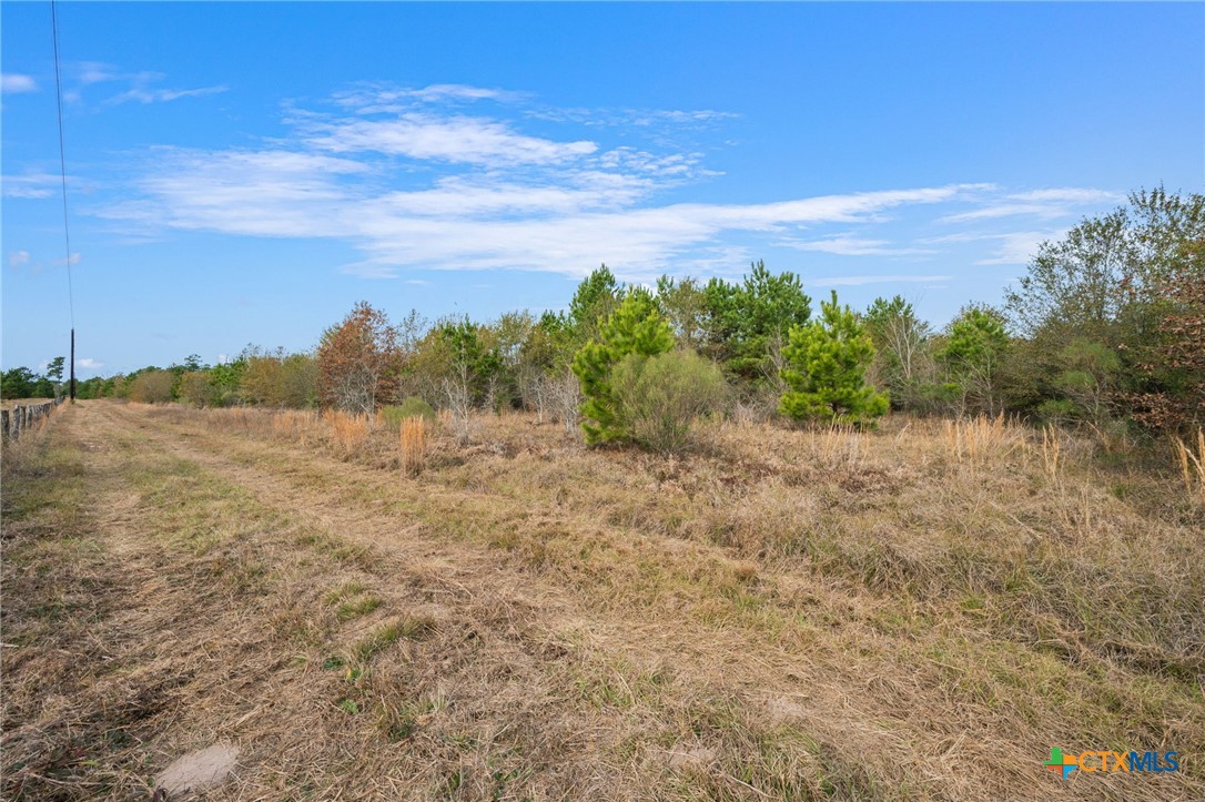 000 Dickey Loop Property Photo 19