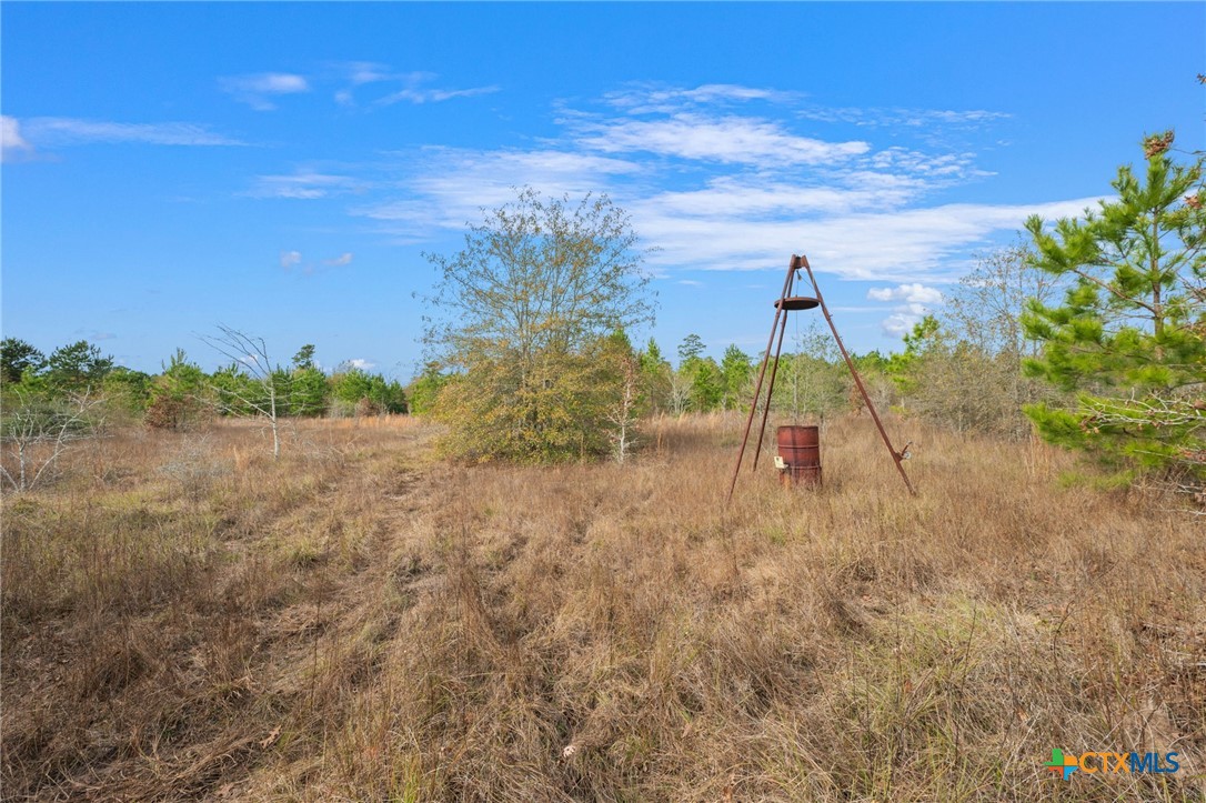 000 Dickey Loop Property Photo 20