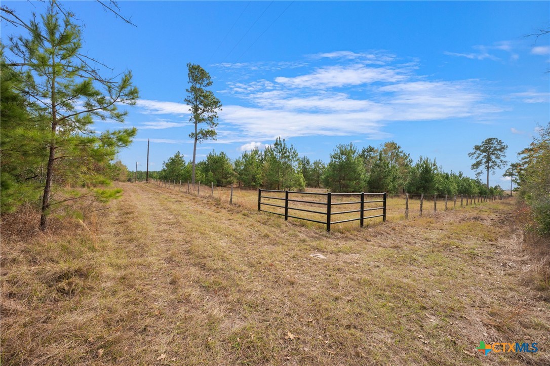 000 Dickey Loop Property Photo 21