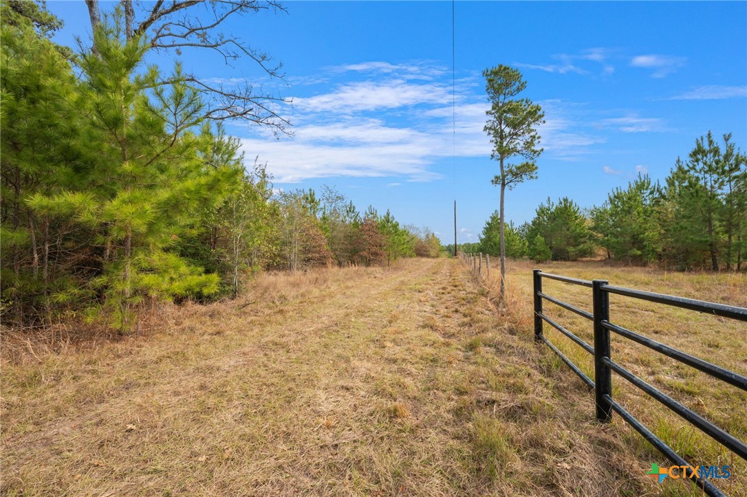 000 Dickey Loop Property Photo 22