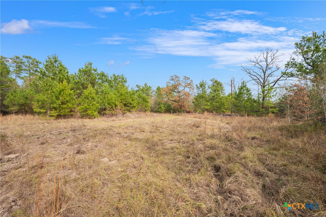 000 Dickey Loop Property Photo 23