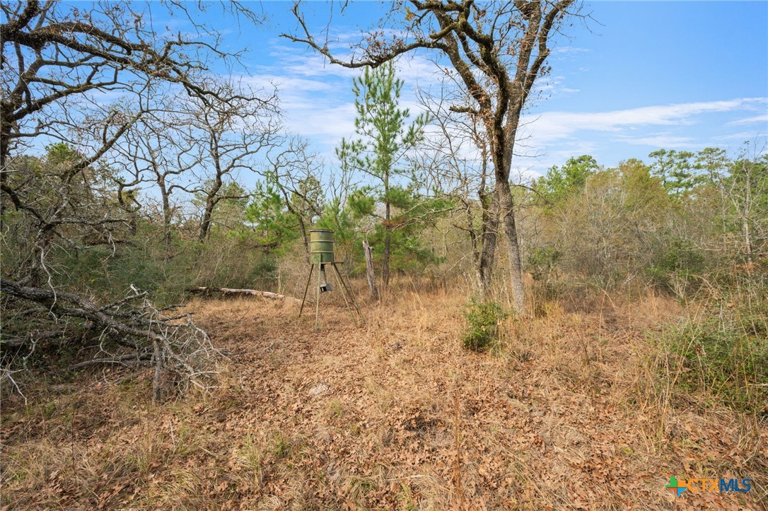 000 Dickey Loop Property Photo 24