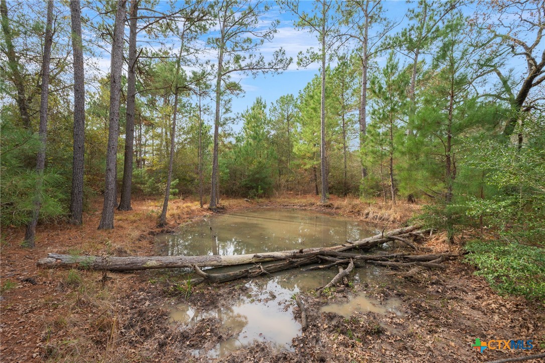 000 Dickey Loop Property Photo 25
