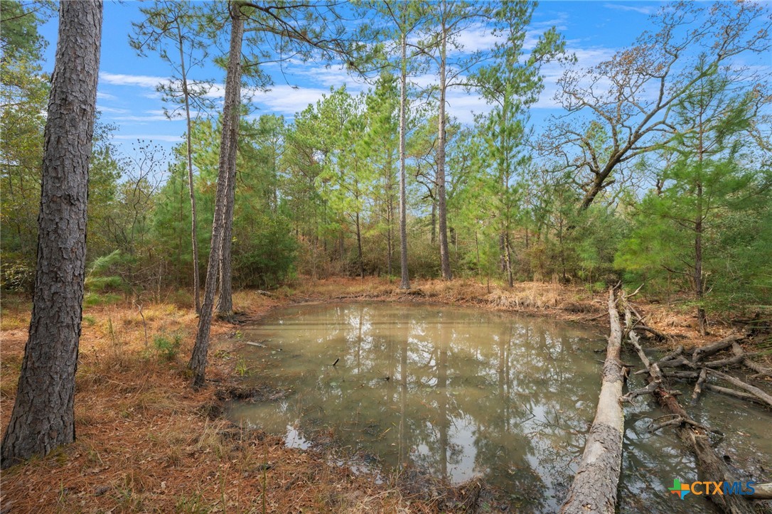 000 Dickey Loop Property Photo 26