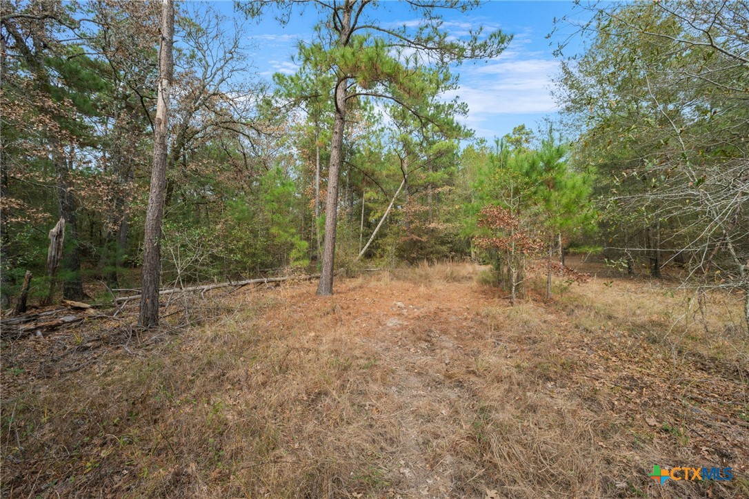 000 Dickey Loop Property Photo 28
