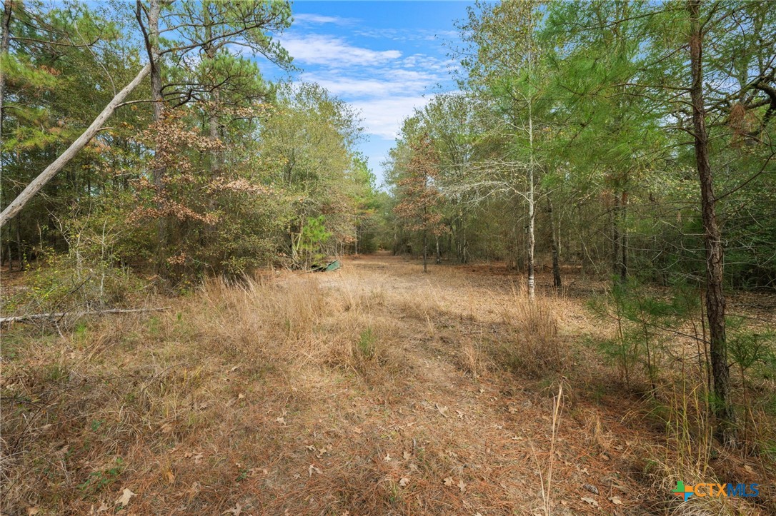000 Dickey Loop Property Photo 29