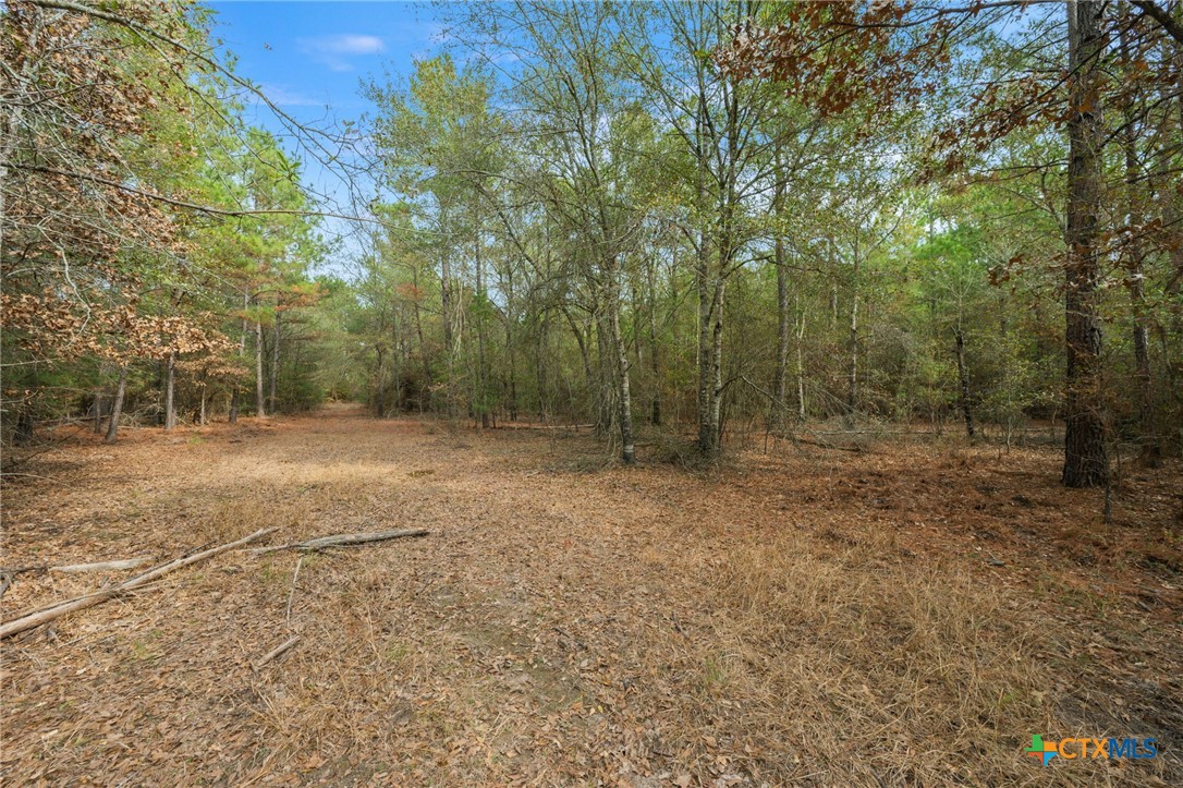 000 Dickey Loop Property Photo 30